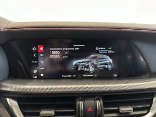 ALFA ROMEO Stelvio usata, con Sensore di pioggia