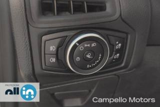 FORD Focus usata 15