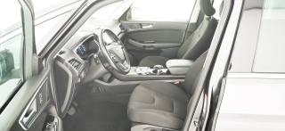 FORD S-Max usata, con Fendinebbia