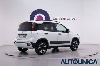 FIAT Panda Cross usata, con USB