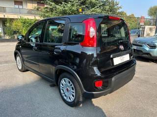 FIAT Panda usata, con Alzacristalli elettrici