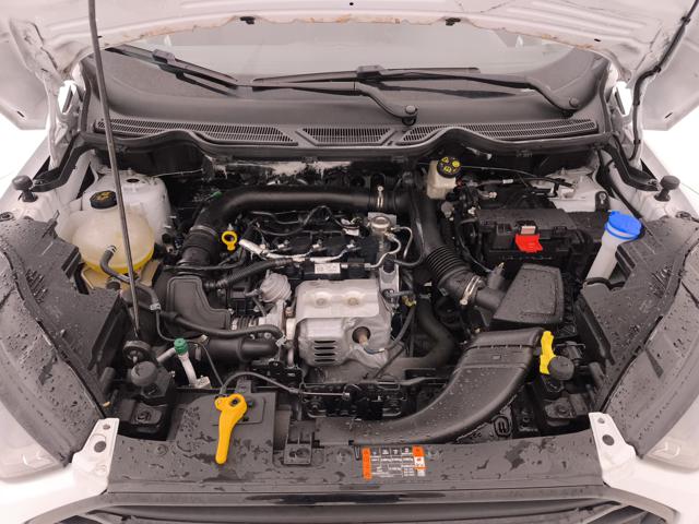 FORD EcoSport usata, con Sensore di luce