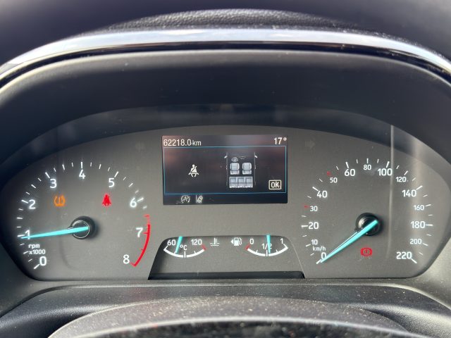 FORD Fiesta usata 14