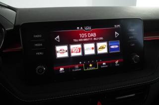 SKODA Fabia usata 17