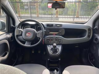 FIAT Panda usata 17
