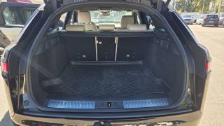 LAND ROVER Range Rover Velar usata, con Cronologia tagliandi