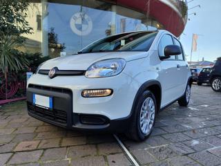 FIAT Panda 1.0 70CV FireFly S&S Hybrid #TAN 5,95%