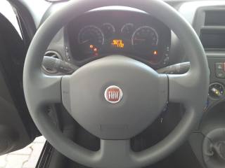 FIAT Panda usata 6