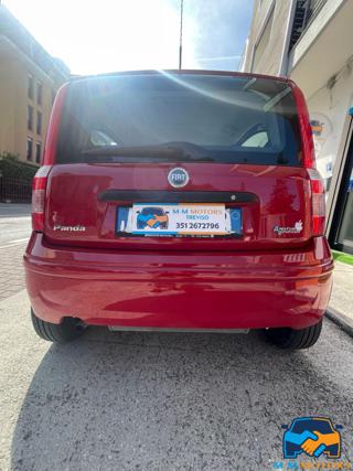 FIAT Panda usata, con Fendinebbia