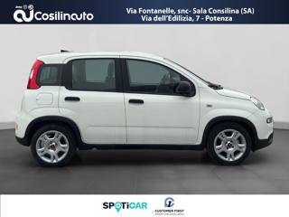 FIAT Panda usata, con Antifurto