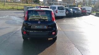 FIAT Panda usata, con Antifurto