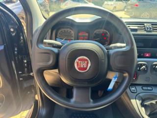 FIAT Panda usata, con ESP