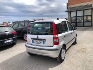 FIAT Panda usata, con Servosterzo