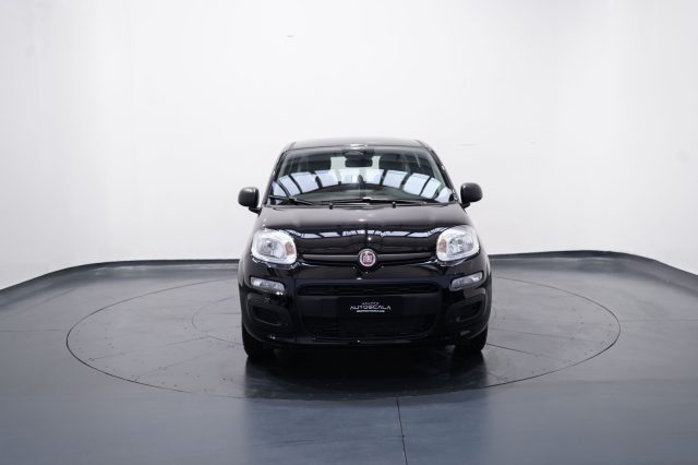 FIAT New Panda usata, con Airbag