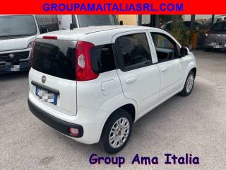 FIAT Panda usata, con Airbag Passeggero