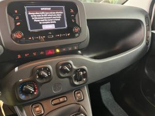 FIAT Panda usata, con Cronologia tagliandi
