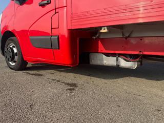 RENAULT Master usata 12