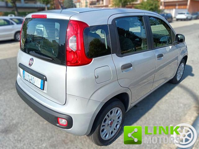 FIAT Panda usata 13