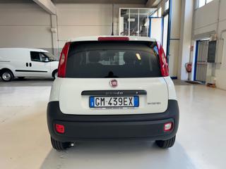 FIAT Panda usata, con Airbag Passeggero