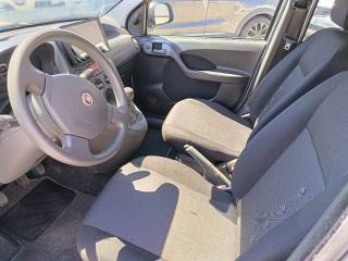 FIAT Panda usata 8