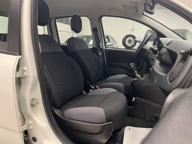 FIAT Panda usata, con Cronologia tagliandi
