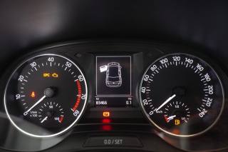 SKODA Fabia usata 12