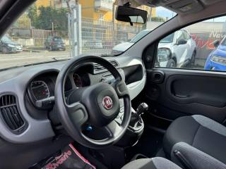 FIAT Panda usata, con Cruise Control