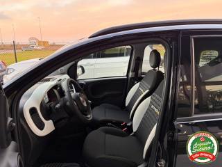FIAT Panda usata, con Cronologia tagliandi