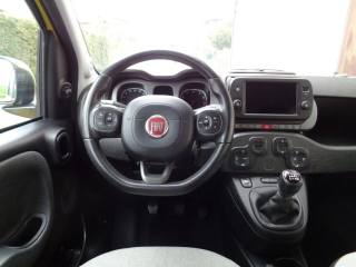 FIAT Panda Cross usata, con Cruise Control