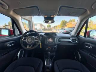 JEEP Renegade usata, con Climatizzatore