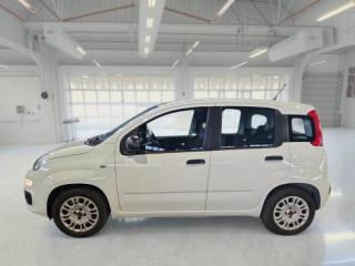 FIAT Panda usata, con Controllo trazione