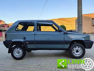 FIAT Panda usata 13