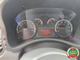 FIAT Panda usata 7