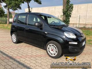 FIAT Panda usata, con Cronologia tagliandi