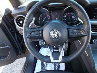 ALFA ROMEO Stelvio usata, con Cronologia tagliandi