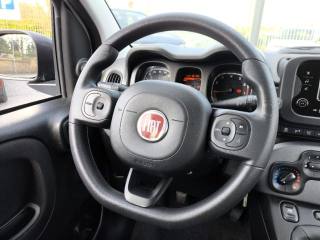 FIAT Panda usata 10