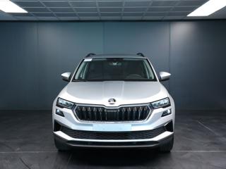 SKODA Karoq usata, con Airbag