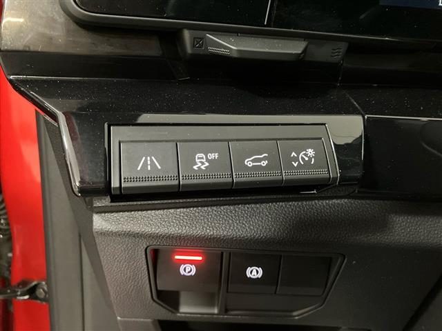 RENAULT Austral usata 19