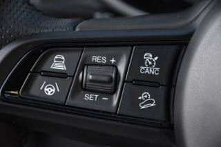 ALFA ROMEO Stelvio usata, con Controllo elettronico della corsia