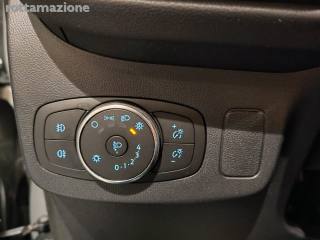 FORD Puma usata, con Autoradio digitale