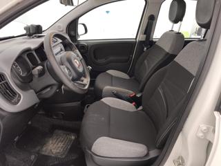 FIAT Panda usata, con Immobilizzatore elettronico