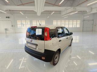 FIAT Panda usata 29