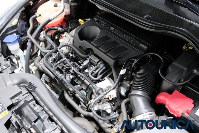 FORD Fiesta usata 58