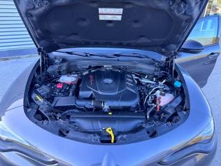 ALFA ROMEO Stelvio usata, con Frenata d