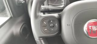 FIAT Panda usata 34