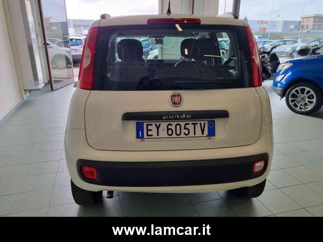 FIAT Panda usata, con Controllo trazione