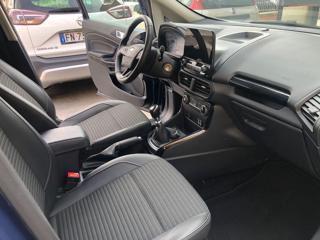 FORD EcoSport usata, con Fendinebbia