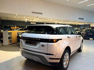 LAND ROVER Range Rover Evoque usata, con Airbag Passeggero