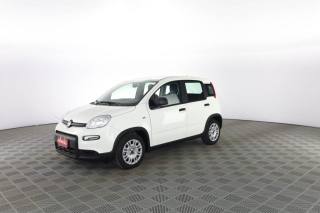 FIAT Panda usata 6