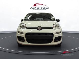FIAT Panda usata 6